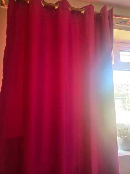 Photo of free Fushia blackout Curtains eyelet ring (Finstock OX7) #1