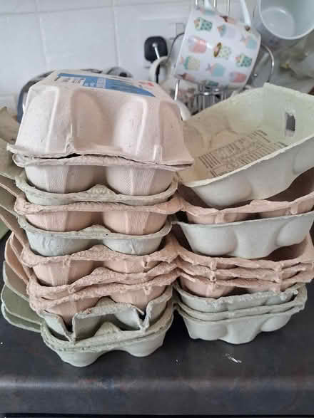 Photo of free 9 egg boxes (Styvechale, Coventry) #1