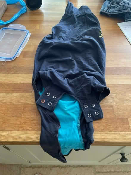Photo of free Dog baby grow for (WR13 6AE) #1