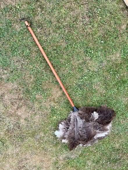 Photo of free Ostrich feather duster (NW Chichester) #1