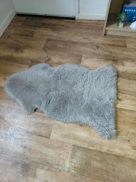 Photo of free Sheepskin (Rowner PO13) #1