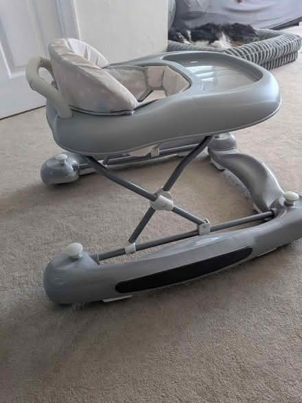 Photo of free Baby Walker and Rocker (Bearsted ME15) #2