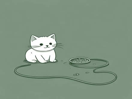 Photo of Cat flea stuff kitten food/biscuits and a hdmi lead (Kirkhouse Green DN7) #1