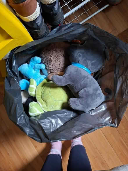 Photo of free Bag of larger soft toys, GU22 (Woking, GU22) #1