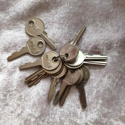 Photo of free Window handle's keys (Jerrymoor Hill Finch RG40) #1