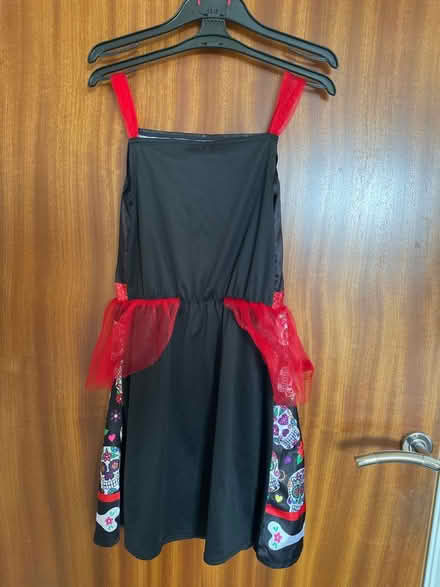 Photo of free Kids Halloween outfit 9-10 (Mill Hill (NW7)) #2
