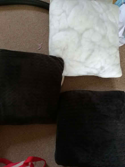 Photo of free Cushions +cushion filler (New Marston OX3) #1