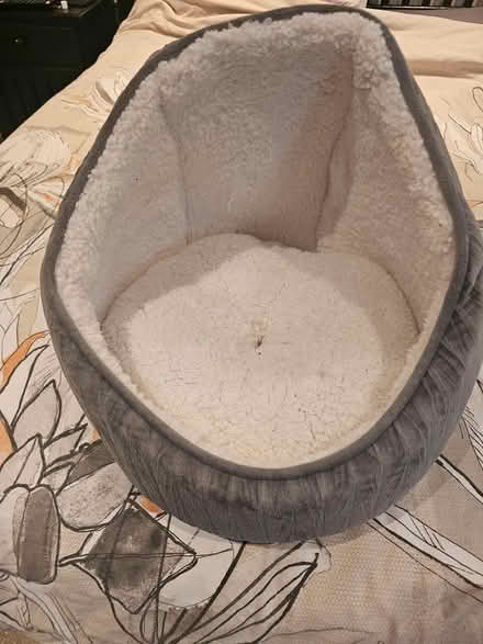 Photo of free Kitten Bed (BL8) #1