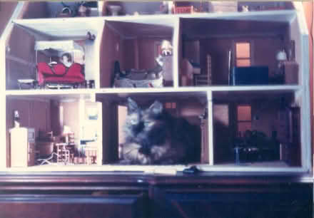 Photo of free homemade wooden dollhouse (Somerville ma) #3