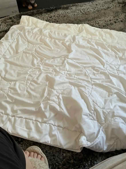 Photo of free Cot duvets (Panshanger AL7) #2
