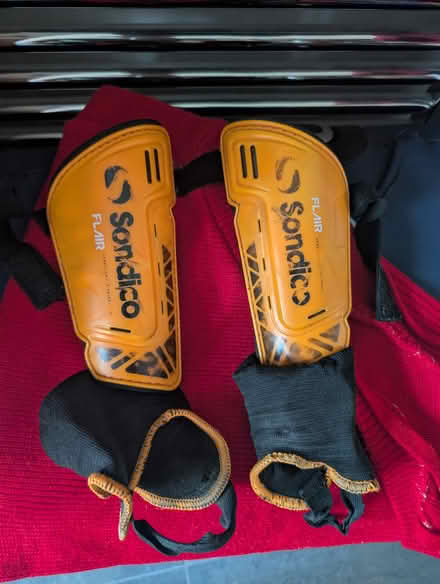 Photo of free Dog sweater, Shin pads, herbs (Wallington SM6) #1