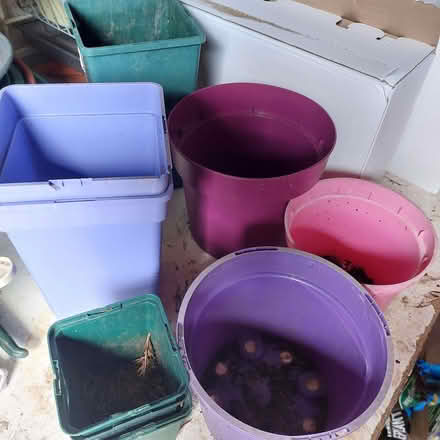 Photo of free Selection of Plastic Plant Pots (Fords Farm RG31) #1