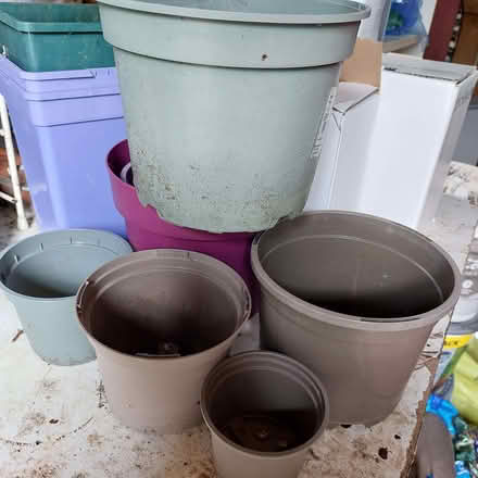 Photo of free Selection of Plastic Plant Pots (Fords Farm RG31) #2