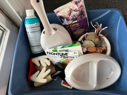 Photo of free Assorted cat supplies (Schuylkill Township) #1