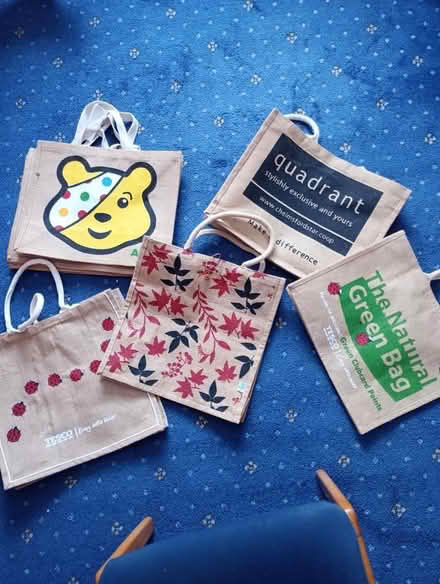 Photo of free Shopping bags (Moulsham Lodge CM2) #1