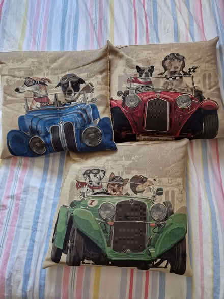 Photo of free Cushions x3 (North Town GU12) #1