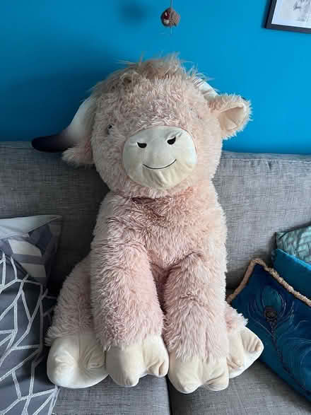 Photo of free Large Highland Cow (Hemel HP1) #1