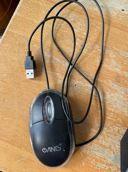 Photo of free Mouse (RH15) #1