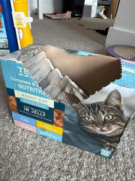 Photo of free 6 wet cat food sachets (NG1 Centre) #1