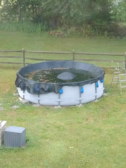 Photo of free 14" pool funsicle oasis pool (Montgomeryville) #3