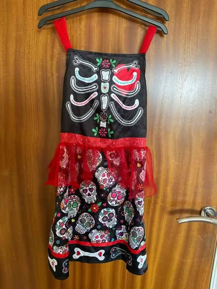 Photo of free Kids Halloween outfit 9-10 (Mill Hill (NW7)) #1
