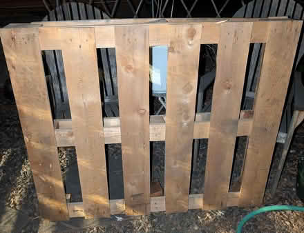 Photo of free Pallet (South Boulder) #1