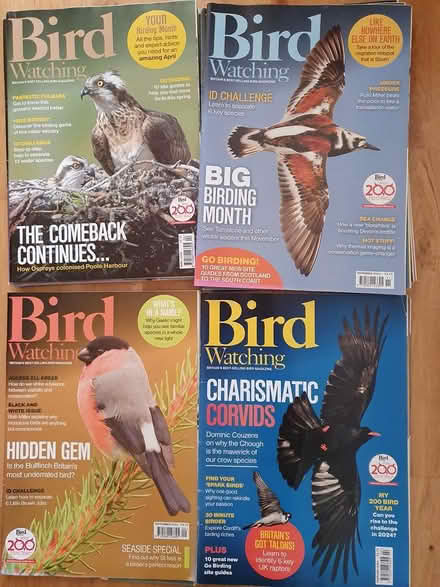 Photo of free Bird Watching Magazines (Arnold NG5) #2