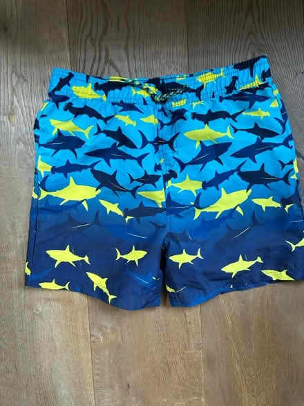 Photo of free Boys swimming shorts 11-12 yrs (Lee, SE12) #3