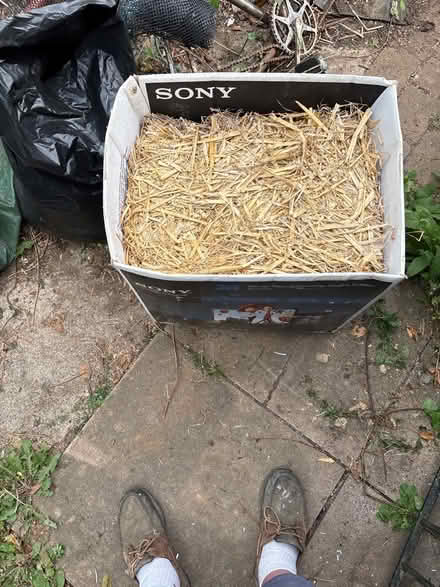 Photo of free Box of straw (Prestbury GL52) #1