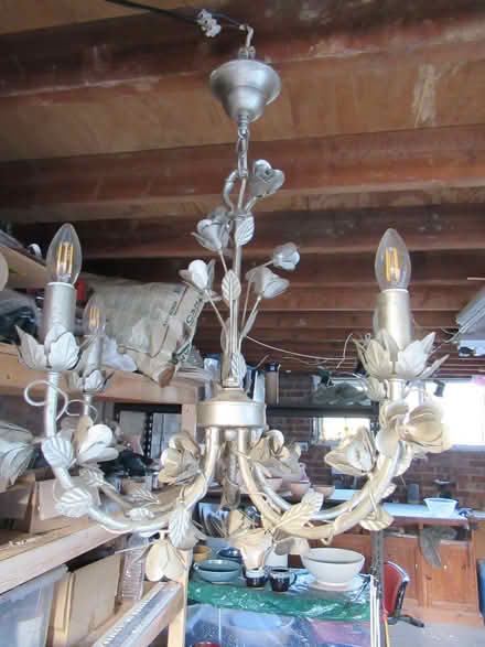 Photo of free Ceiling light (Humphrey's End GL5) #2