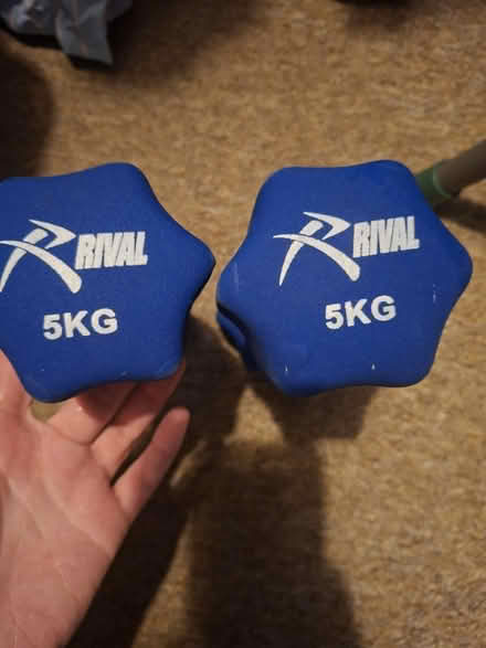 Photo of free 2 sets of Dumbells (Briarhill) #3