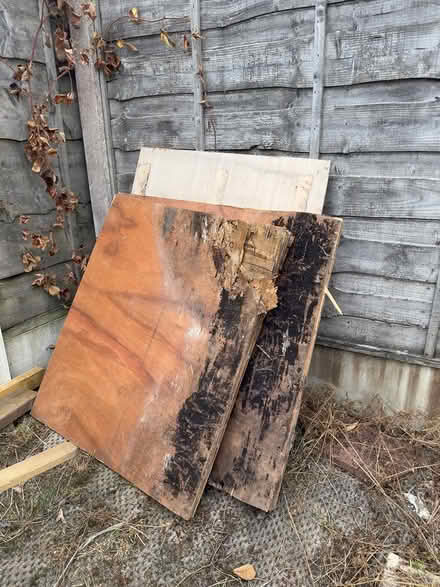 Photo of free Pile of wood off cuts & scrap wood (Frecheville S12) #2