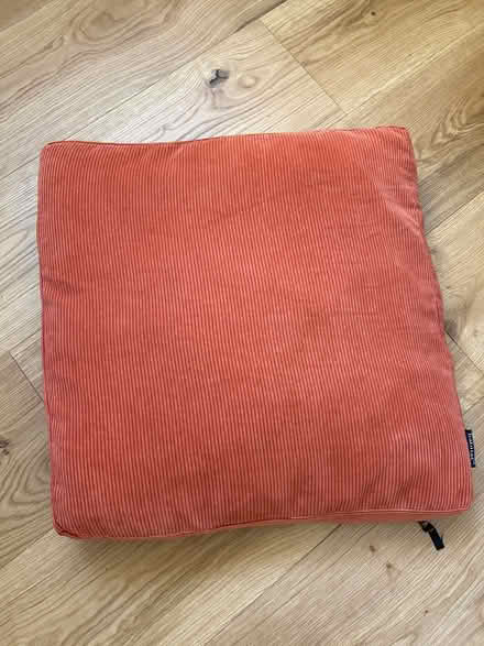 Photo of free Burnt orange habitat cushion (Stroud Green N4) #1