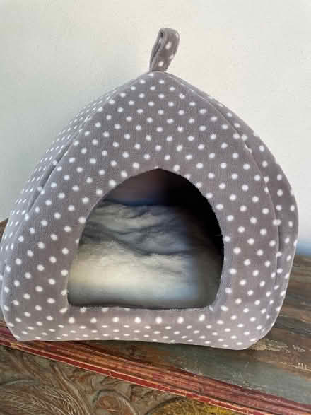 Photo of free Cat bed (St Albans AL3) #1