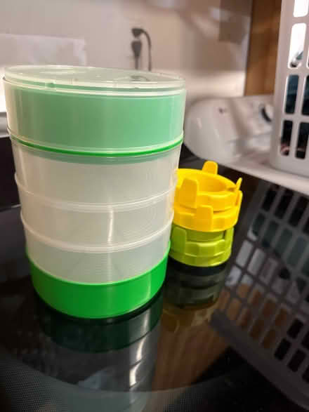 Photo of free Sprouts growing kit (Monta Loma Mountain View) #1