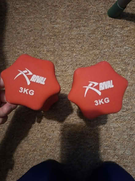 Photo of free 2 sets of Dumbells (Briarhill) #2