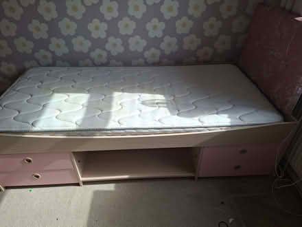Photo of free Single pink and oak low cabin bed (Southport PR9) #4