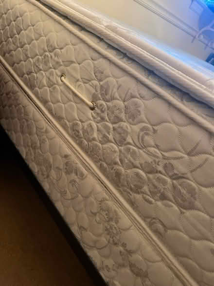 Photo of free Queen mattress set (Near Greer High school) #2