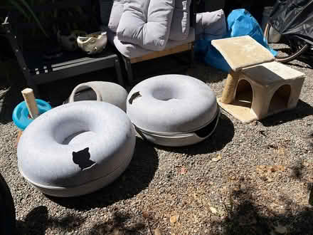 Photo of free Cat toys (Homestead Valley) #1