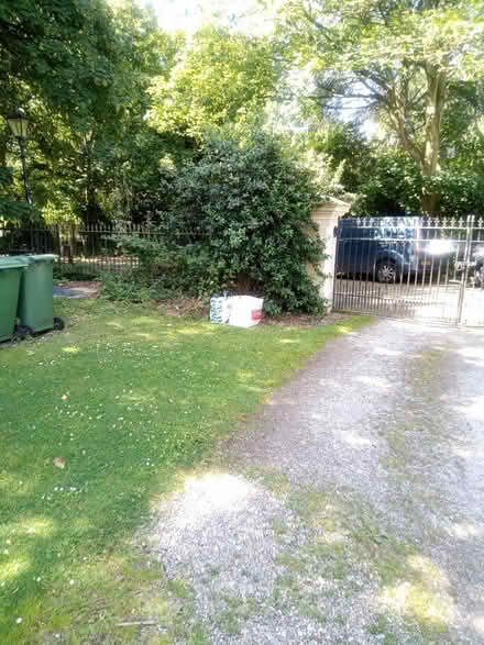 Photo of free 28 Old Alpine Pop Bottles (Birkenhead, CH41.) #3