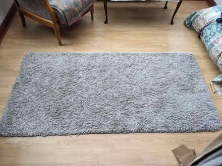 Photo of free Fluffy Grey rug (Fairmilehead EH10) #1