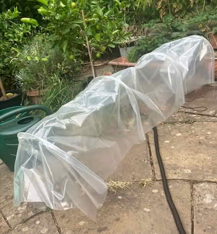 Photo of free Mini polytunnel/ cloche SW9 Oval (SW9 Oval) #1