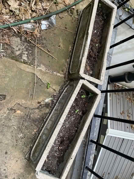 Photo of free Two long planters (Greenwich SE10) #3