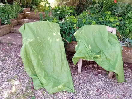 Photo of free frost protection plant covers (Moorfields BA2) #1