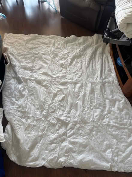 Photo of free Duvets and Pillows (N7 8GP) #1