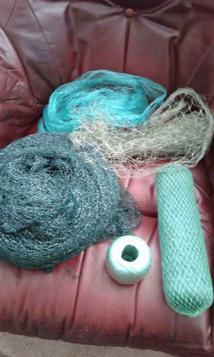 Photo of free Garden netting (St Blazey Gate PL24) #2