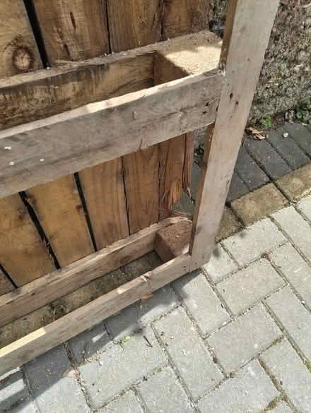 Photo of free pallet wood (Maidstone) #2