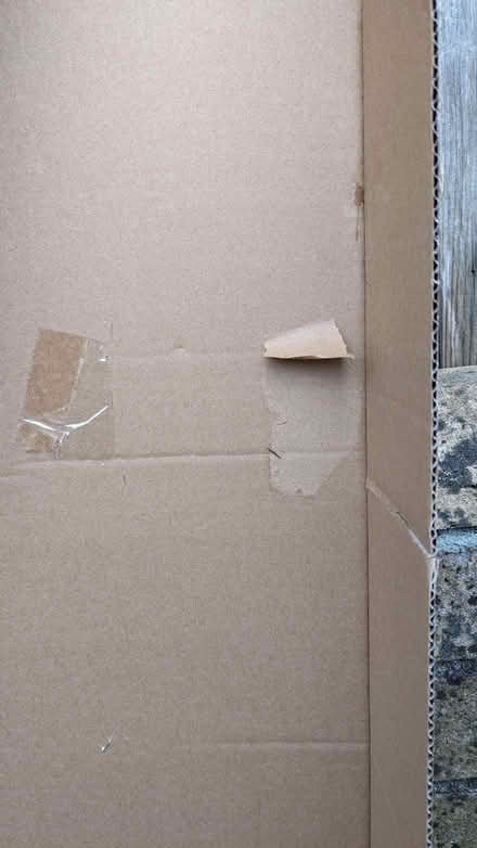 Photo of free Cardboard Guitar Box. (Lipson PL4) #3