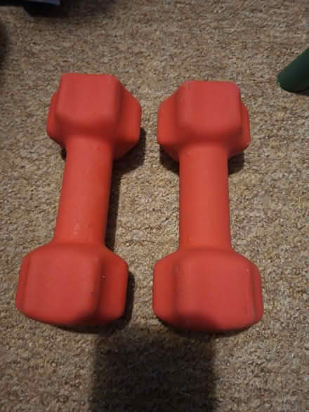 Photo of free 2 sets of Dumbells (Briarhill) #1