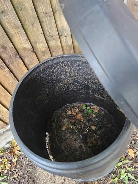Photo of free Garden Compost Bin (High Barnet EN5) #3